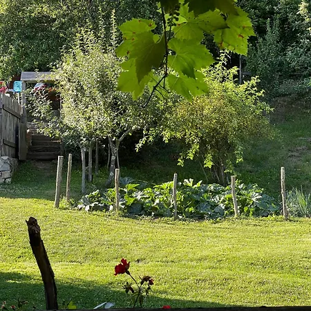 Prázdninový dům Borgo Di Quarazzana House For Large Groups Tuscany